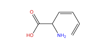 (Z)-2-Aminohexa-3,5-dienoic acid